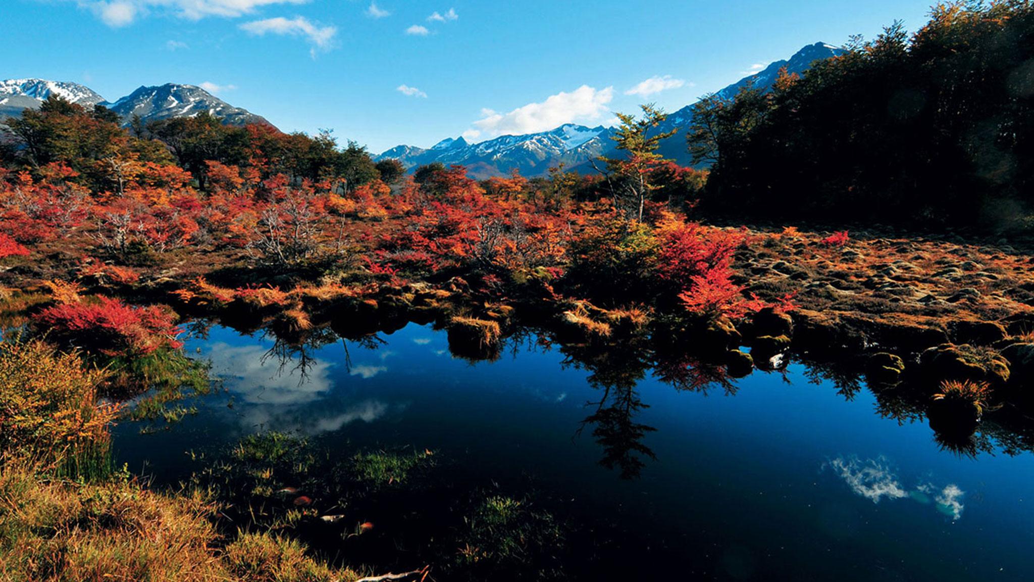 Arakur Ushuaia Resort & Spa Exteriér fotografie Autumn colours at the Ozegahara